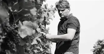 Weingut Münzenrieder